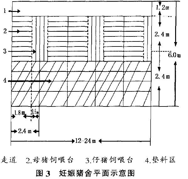 發(fā)酵床養(yǎng)豬對豬舍的要求及建設(shè)