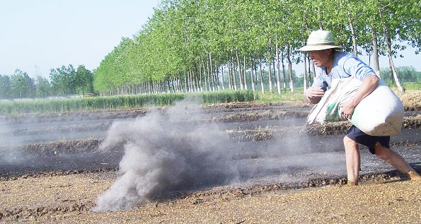 鉀肥是什么肥料，鉀肥的種類有哪些？