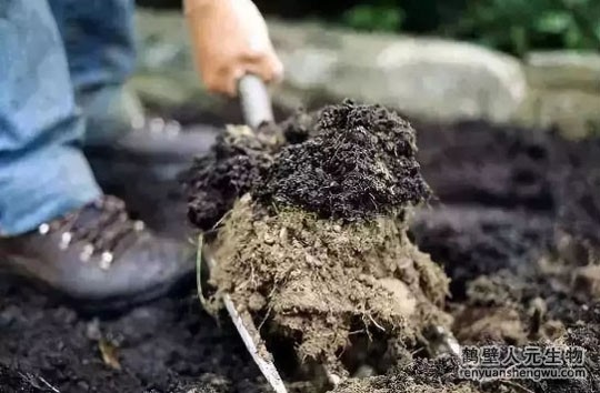 微生物肥料的正常使用