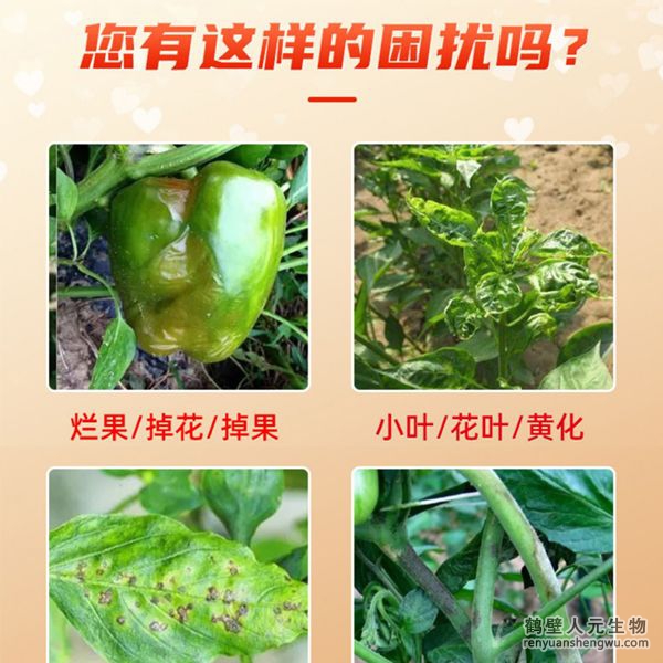 多氨豆粕菌肥系列辣椒專用肥適用范圍：適用于櫻桃椒、朝天椒、燈籠椒、羊角椒、線椒、彩椒、甜柿椒、牛角椒等辣椒類品種。