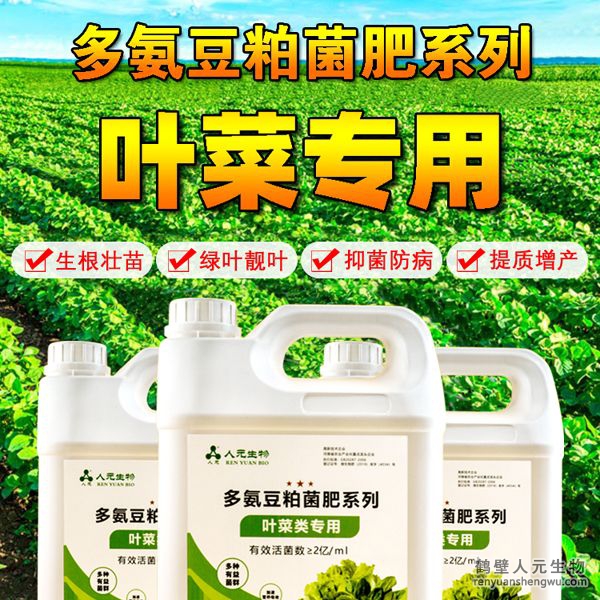 多氨豆粕菌肥系列葉菜類專用肥由河南省微生物菌劑工程技術(shù)研究中心研制，鶴壁市人元生物技術(shù)發(fā)展有限公司生產(chǎn)，本品是以固態(tài)發(fā)酵豆粕為主要原料，豆粕經(jīng)過(guò)有益微生物菌種發(fā)酵分解，充分釋放游離氫基酸，同時(shí)輔以枯草、地衣、膠凍樣芽孢桿菌等有益菌群。